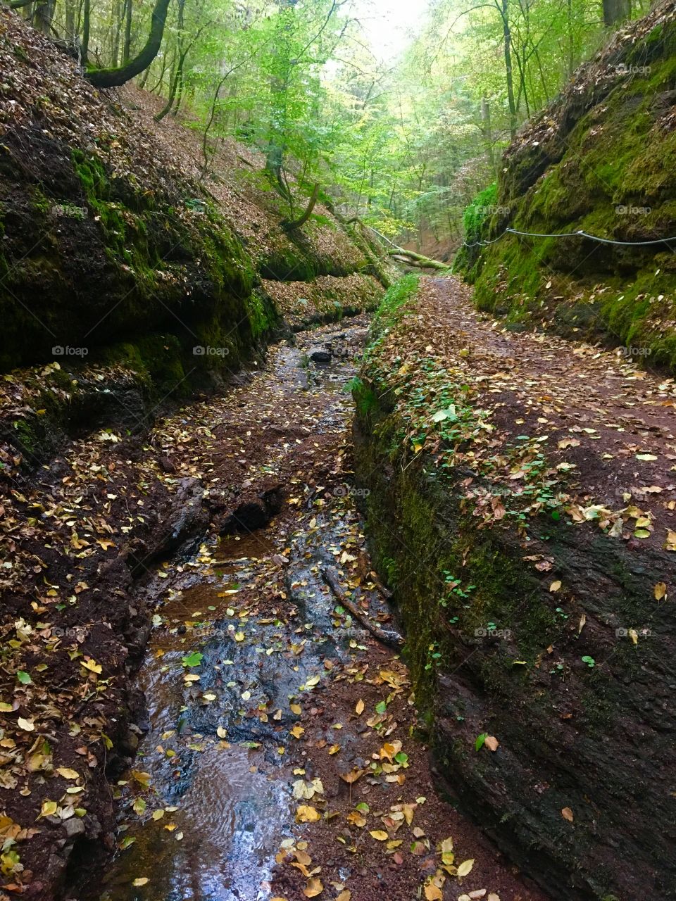 Hiking trail in Eisenach Germany 