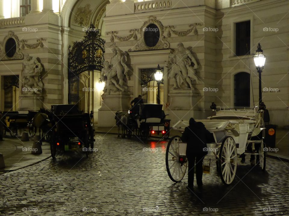 Horse drawn carriages in front of Hofburg palace in Vienna