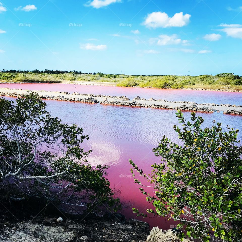 Pink water 