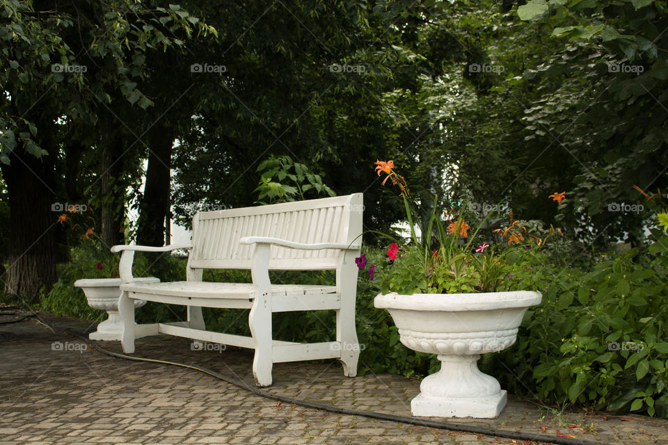 Bench, Garden, Seat, No Person, Flower