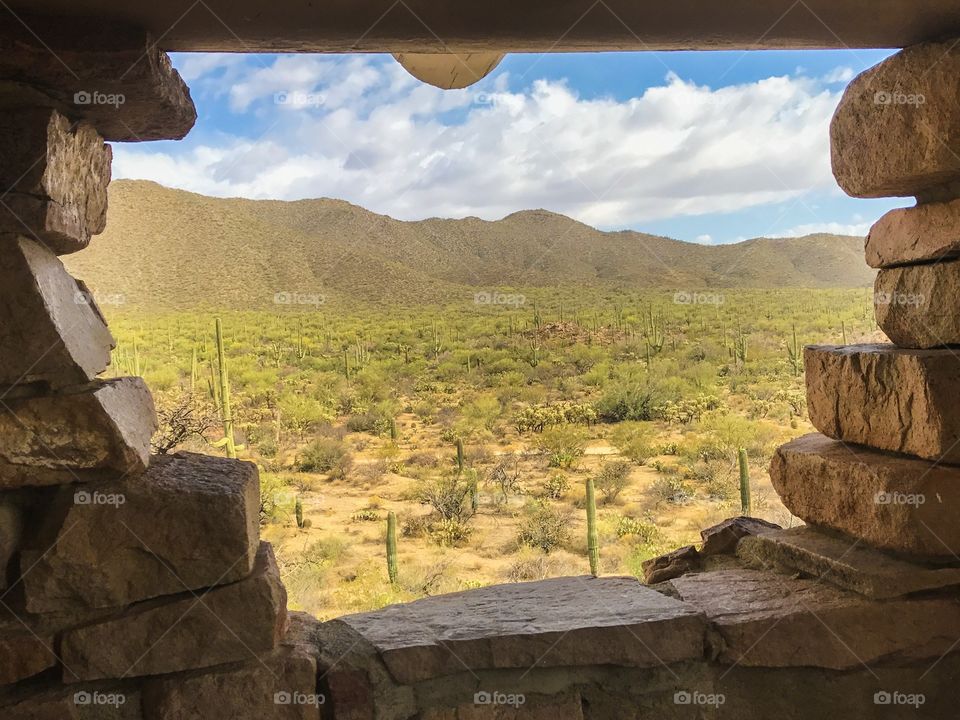 Nature - Desert Landscape 