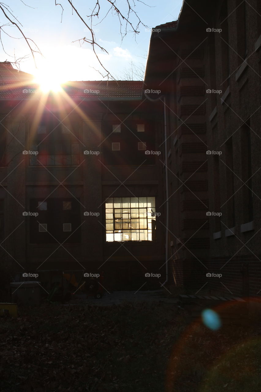 Sunlight in Ellis island 