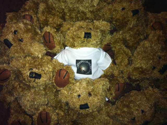 Toy Bears