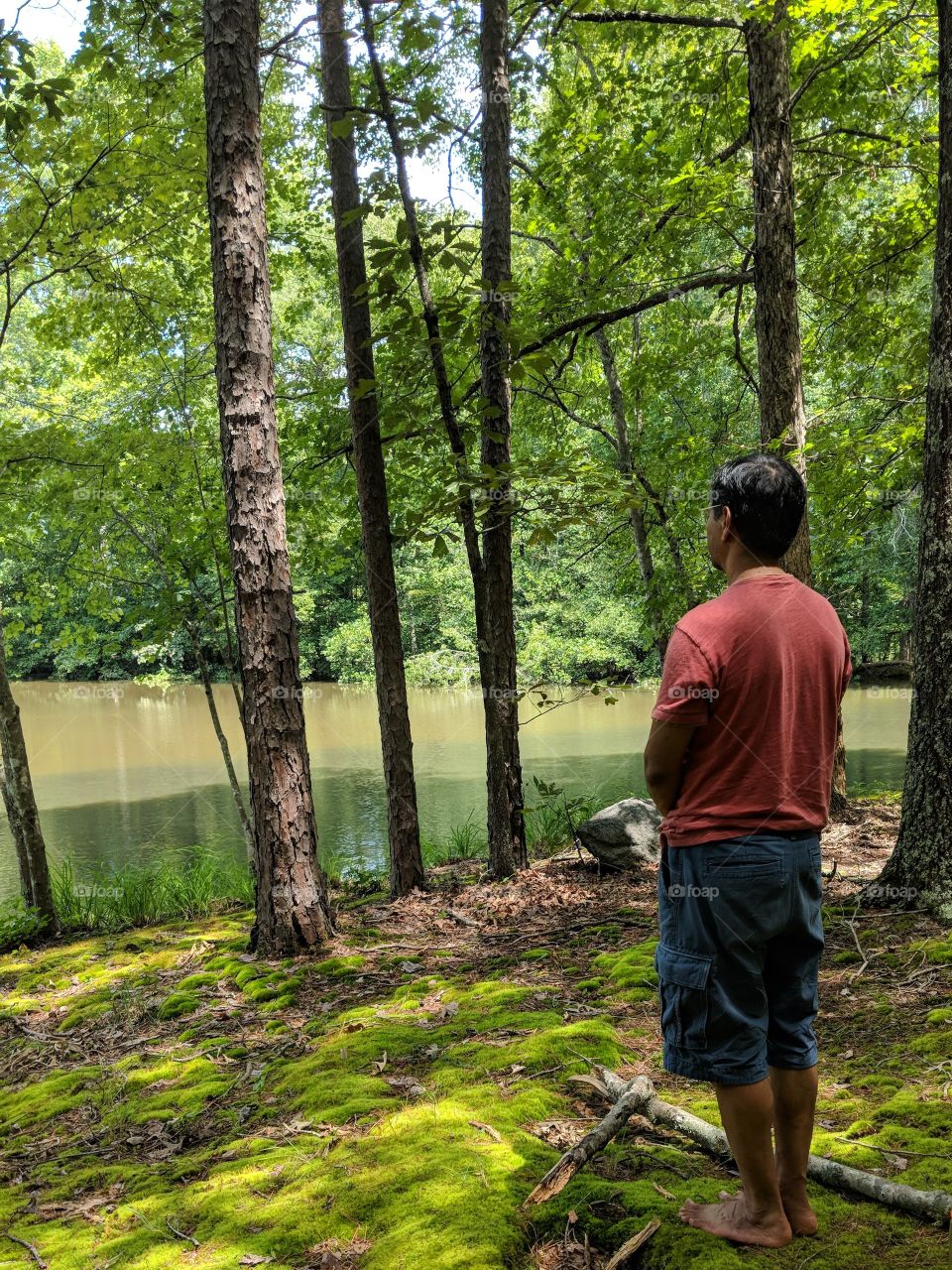 a person stands peacefully meditating on a pond in a mossy forest.