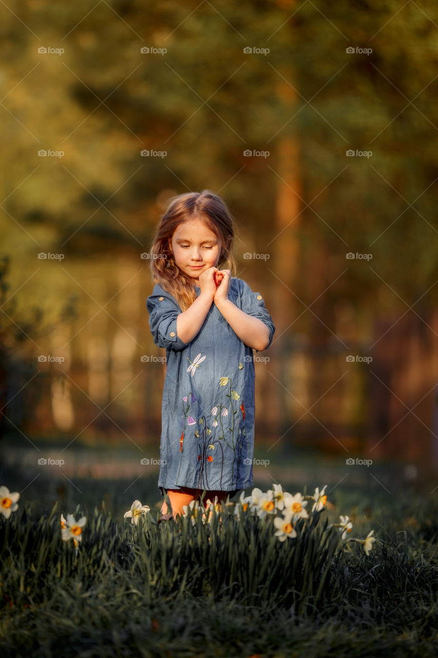 Little girl with narcissus at sunset