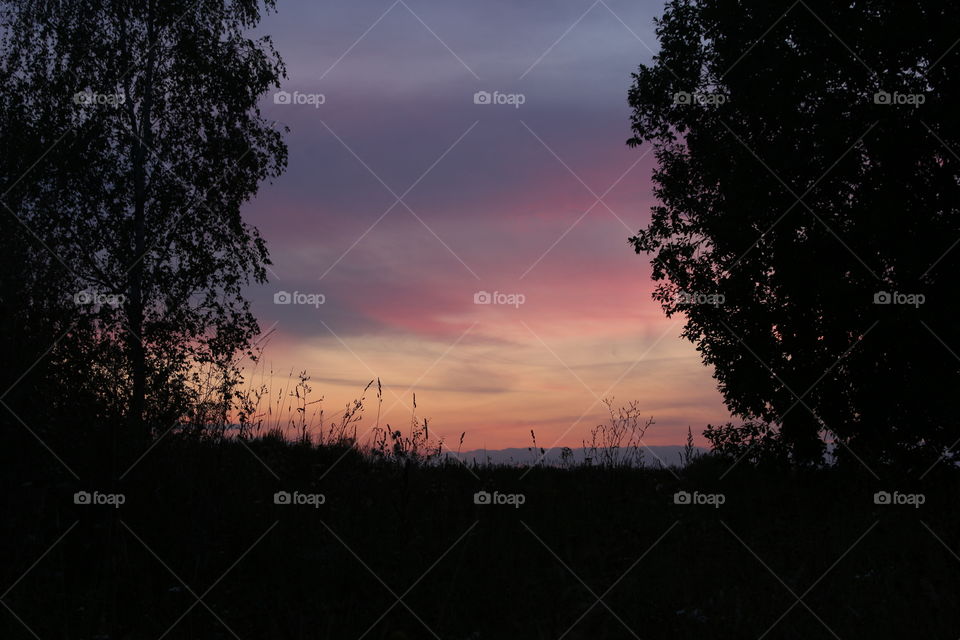 ✨ Gorgeous Summer Sunset in Gdansk Poland
💜 Silhouettes Trees at Sunset Summer
💕 Magnificent Natural Photo to Enjoy Watching