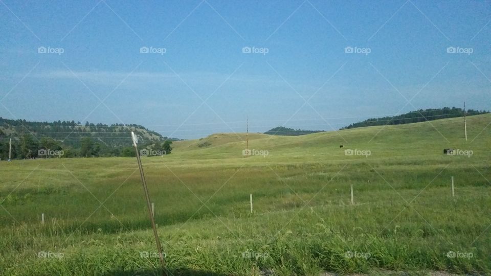 Landscape, Field, Grass, Hayfield, Agriculture