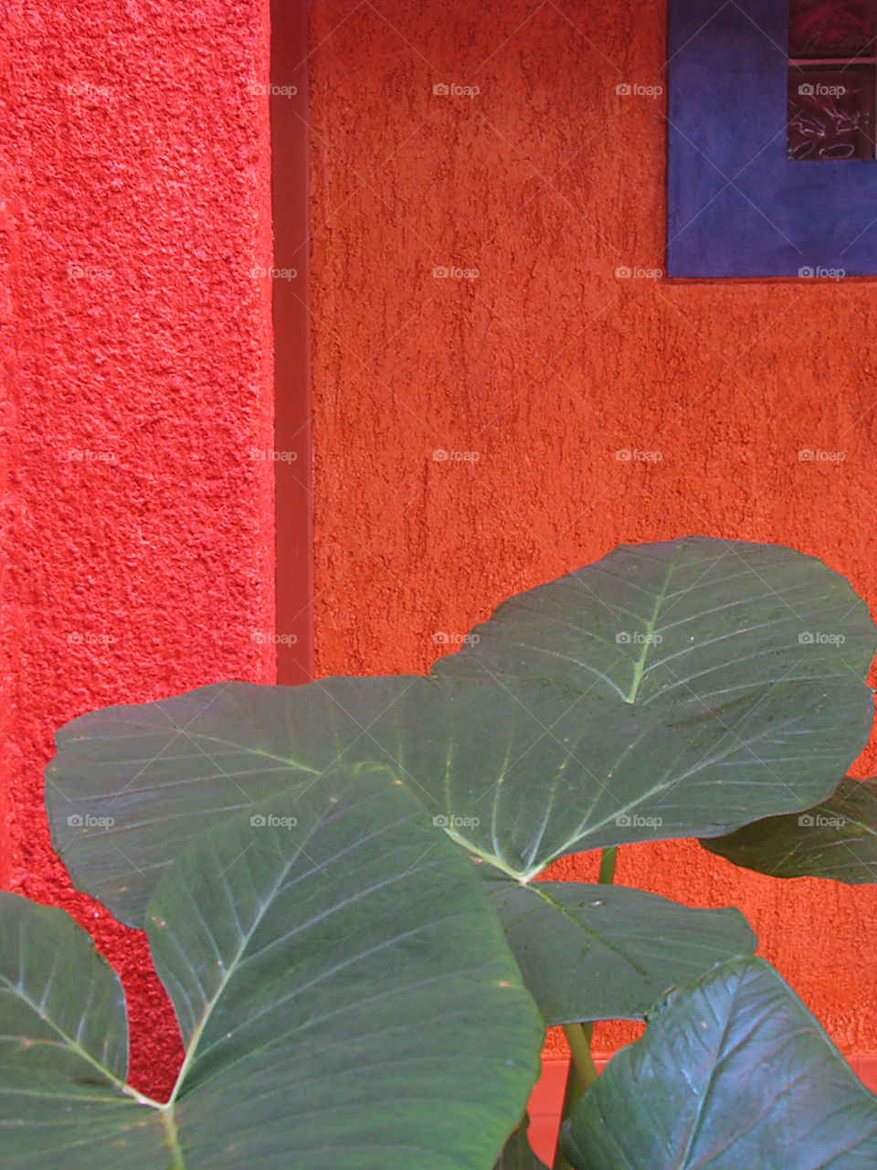 Colorful outside stucco