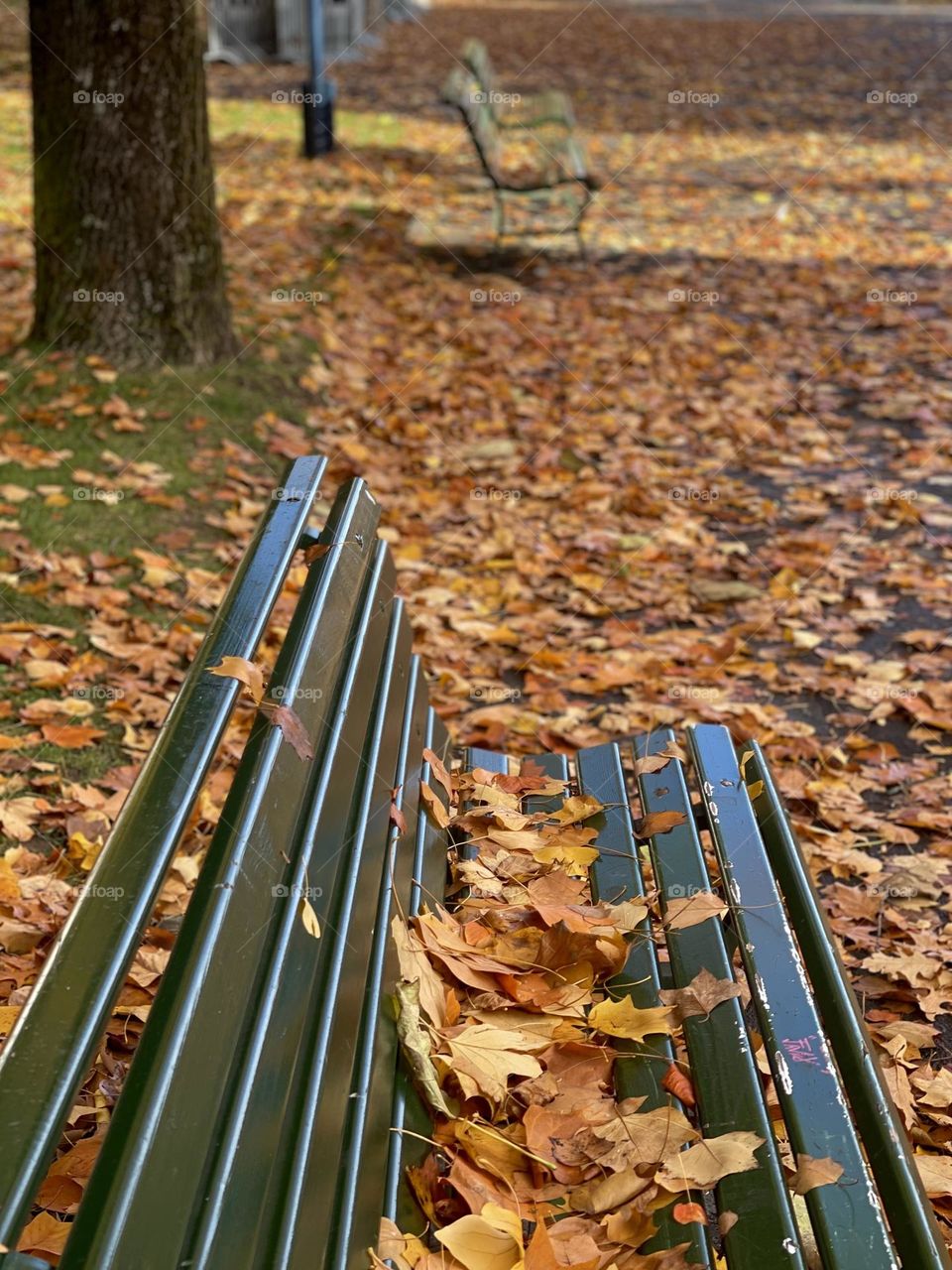 A city park in autumn 🍂