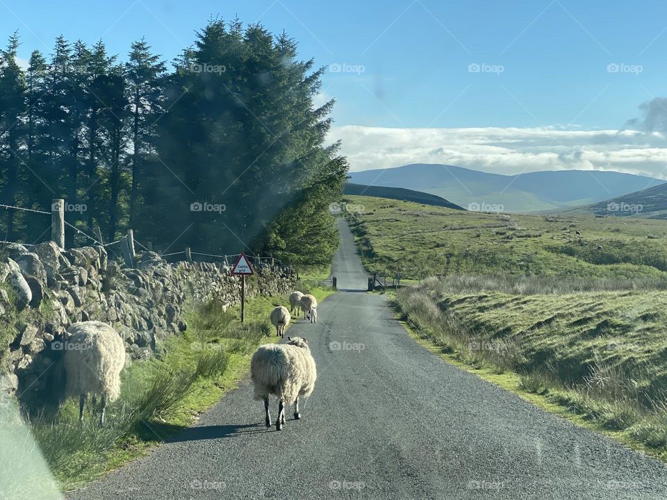 A scenic view over the Lake District 