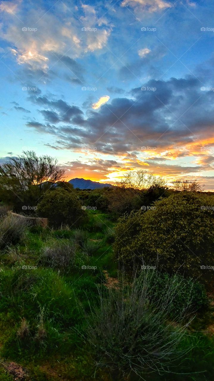 Dramatic sky over landscape