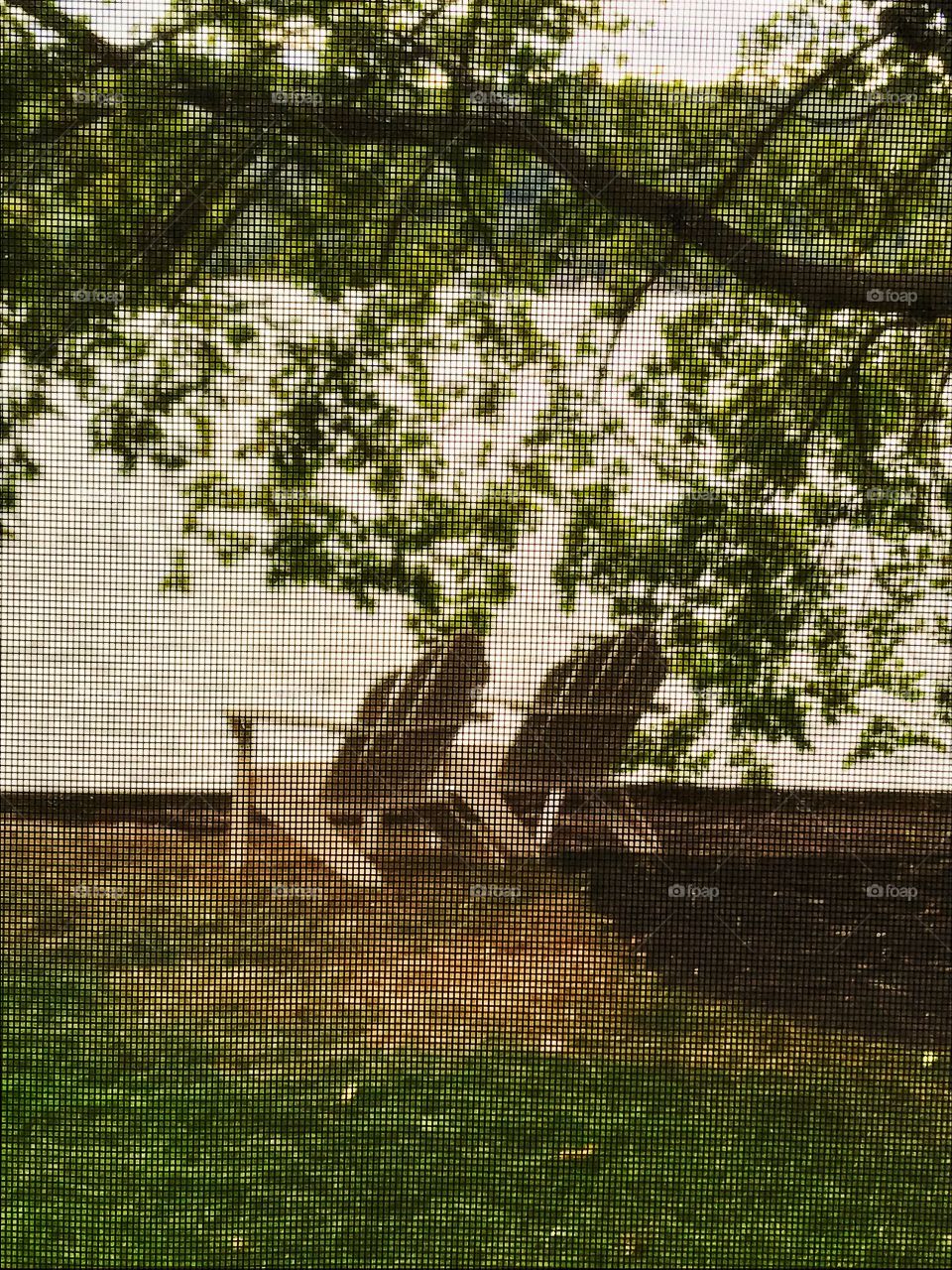 Chairs with a view