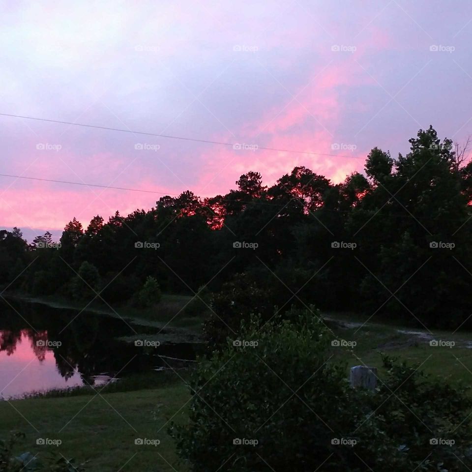 fire in the sky, sunset, Beautiful, tree, reflection