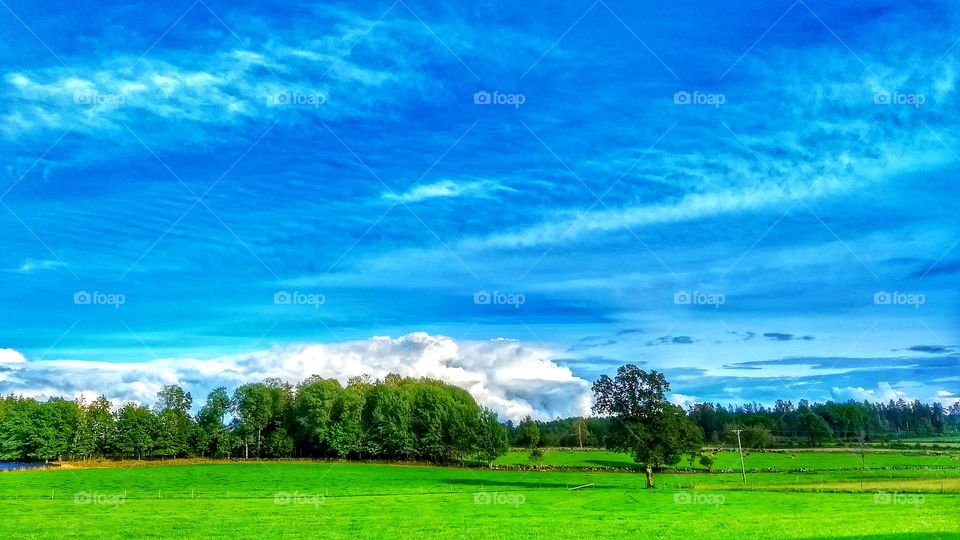 Blue skyes and green landscape