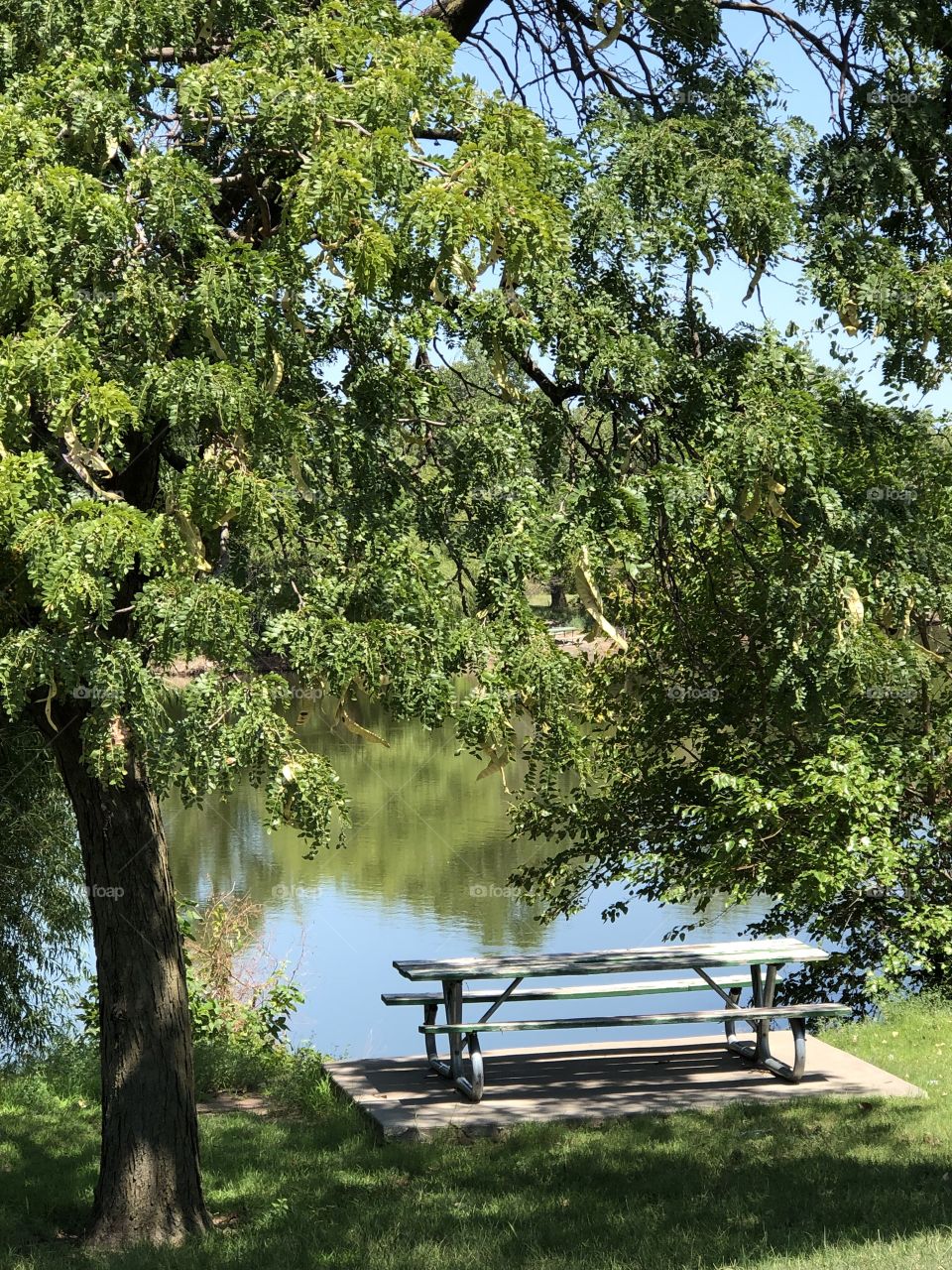 picnic and view nature
