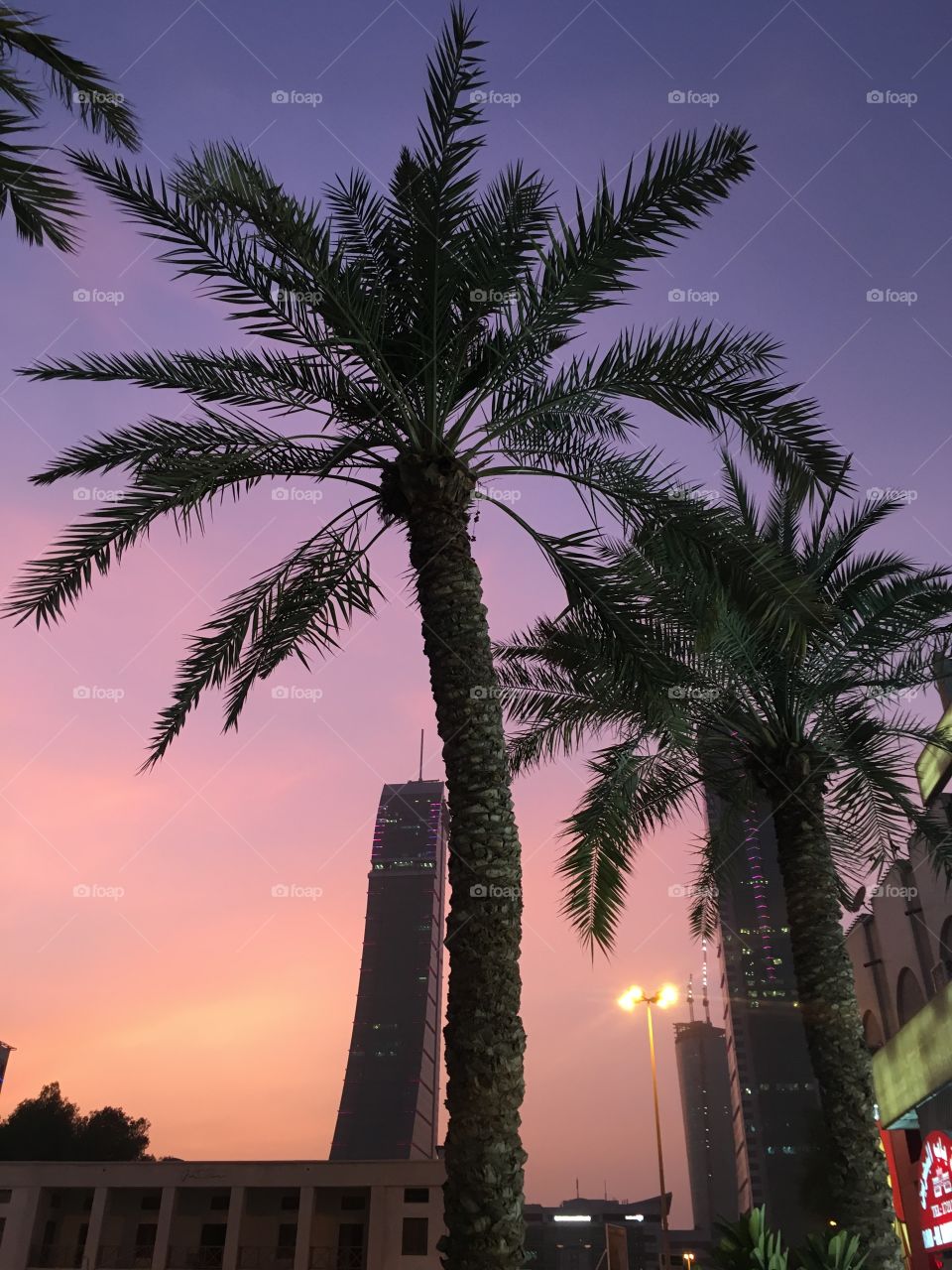 Palm Trees at Sunset in Manama 