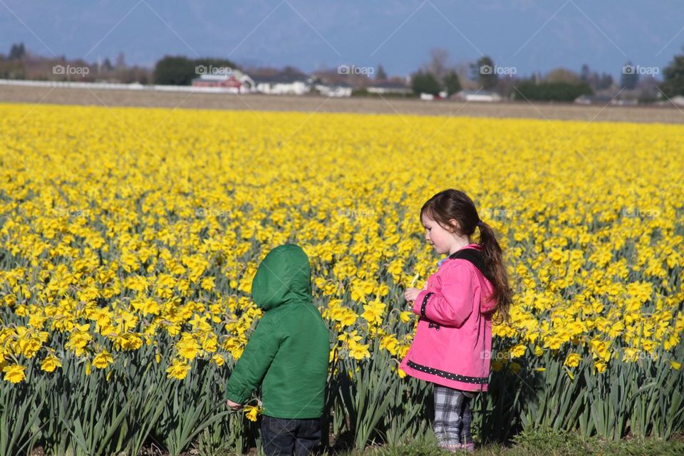In the flowers. Up in LaConnor, wa is where the grow flowers. 
