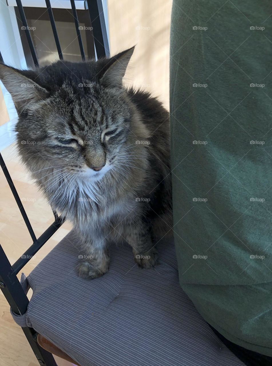 No I won’t make room on the chair so you can have dinner.