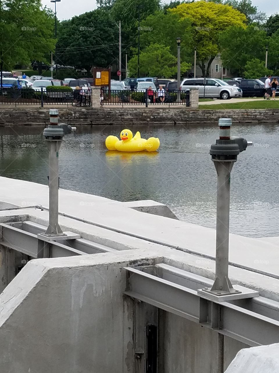 Rubber ducky