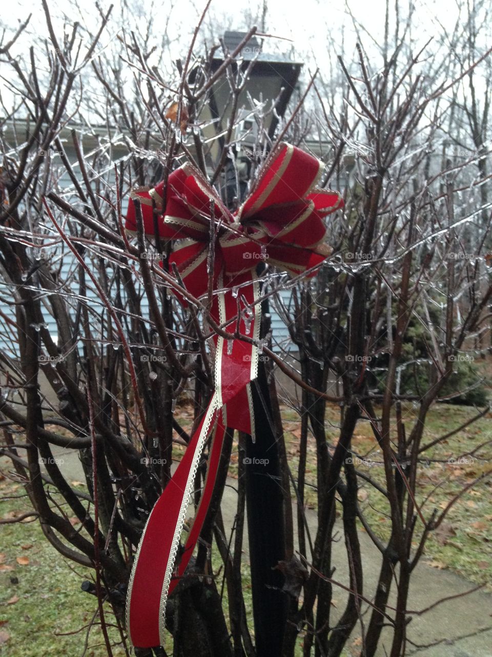 Put a bow on it, Icey