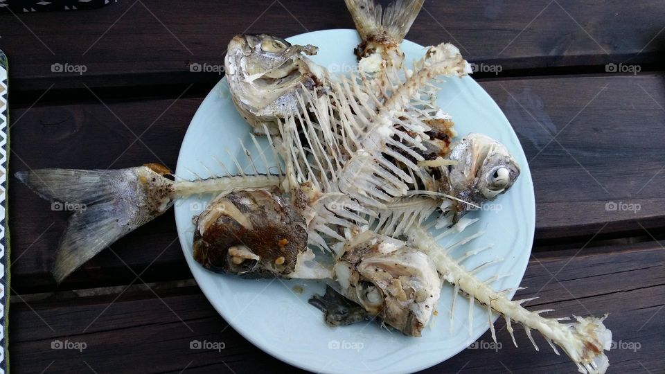 Fish bones on a plate