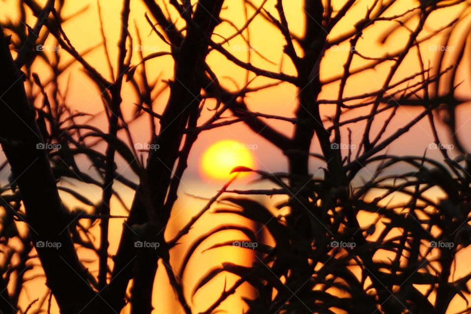 Ruhe und Gelassenheit