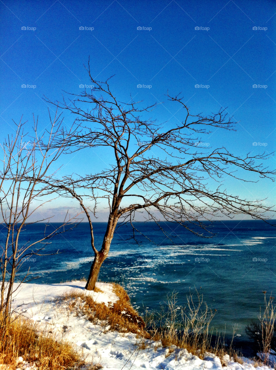 cudahy wi winter branches cliffs by doug414