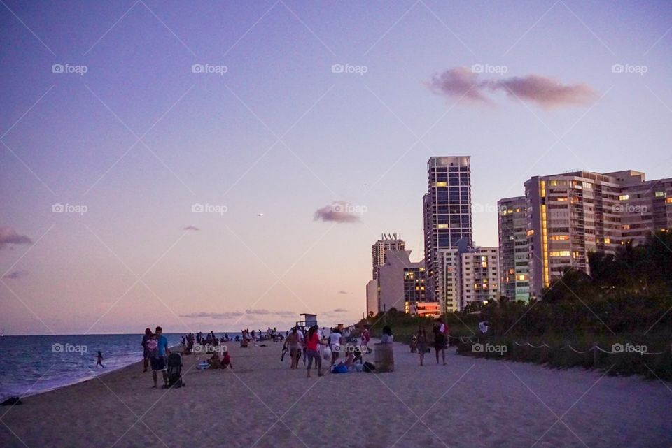 Miami Beach Cityscape