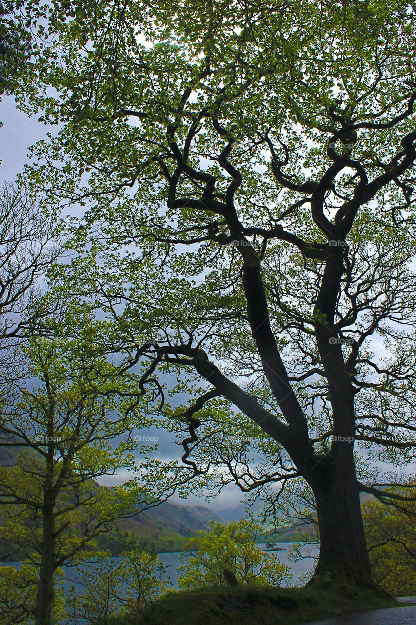 Loch Lomond