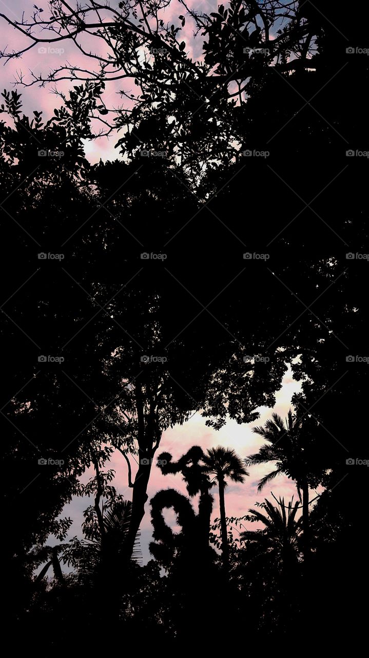 Perfiles isoméricos.