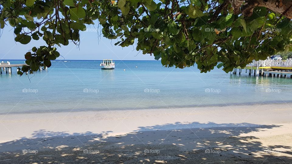 Bajo la sombra de un palo de Uva de playa. en Utila Islas de la Bahia. Honduras.