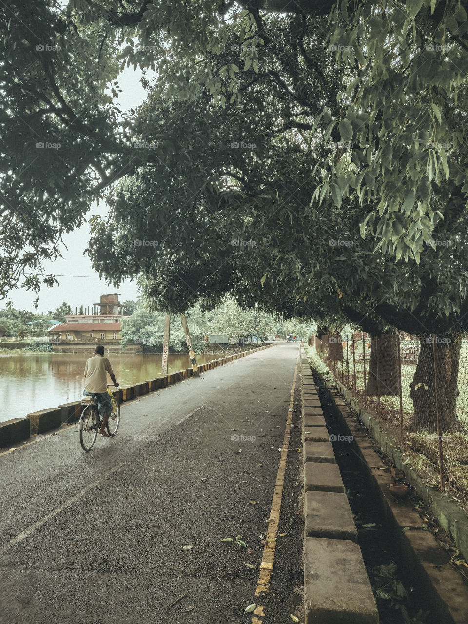 A retro street
A man cycling and going his destination by a road