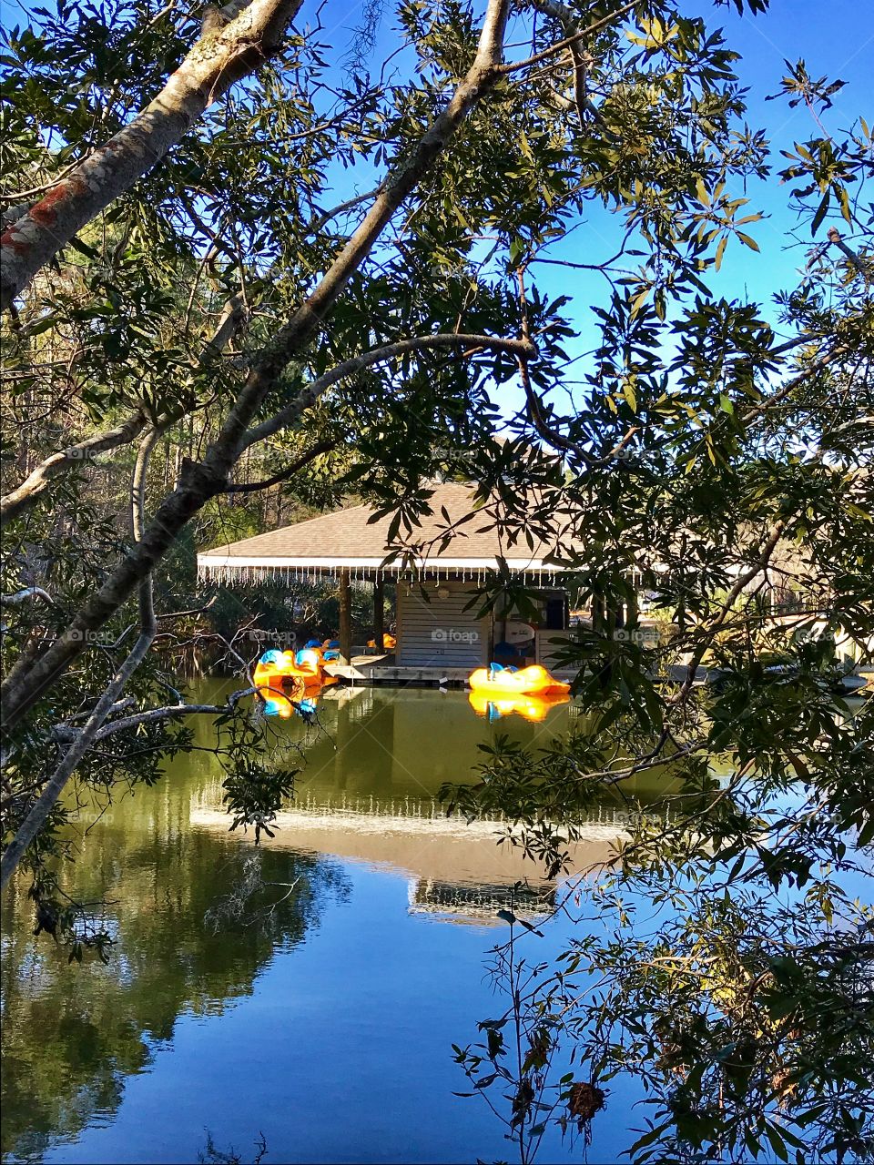 Paddle boats at the County Park