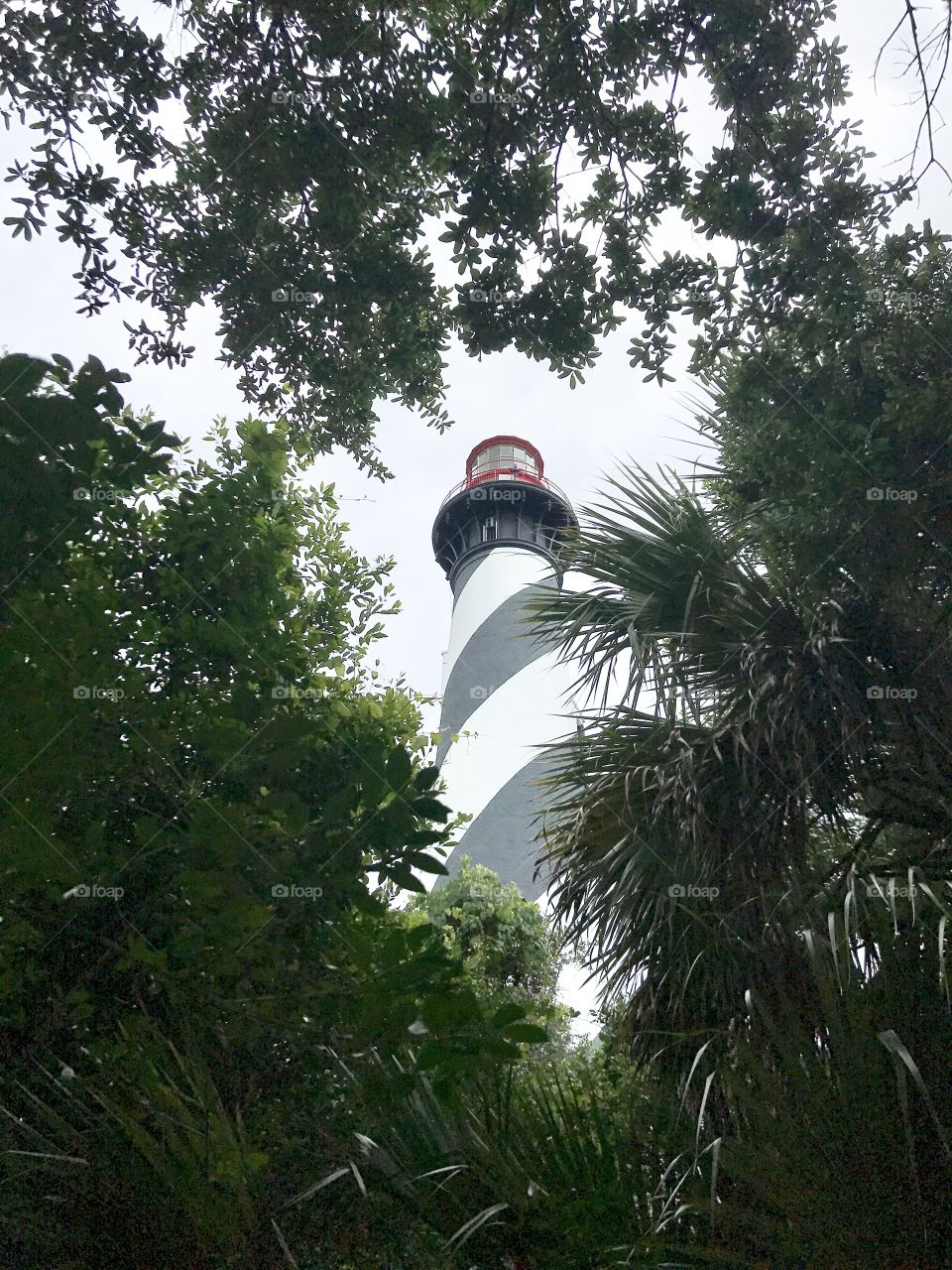 St. Augustine lighthouse peeking through the trees