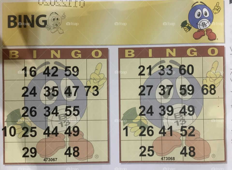 B 13 Bingo 