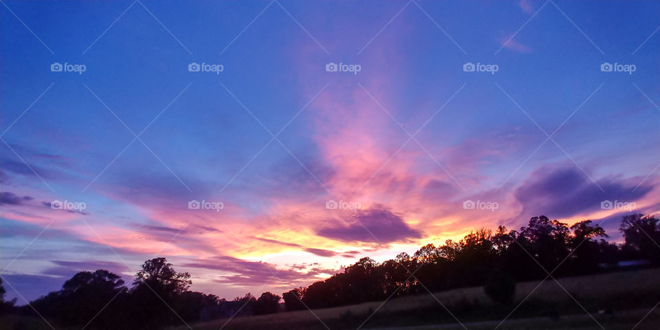 Cotton Candy colored Sunset on a summer evening.