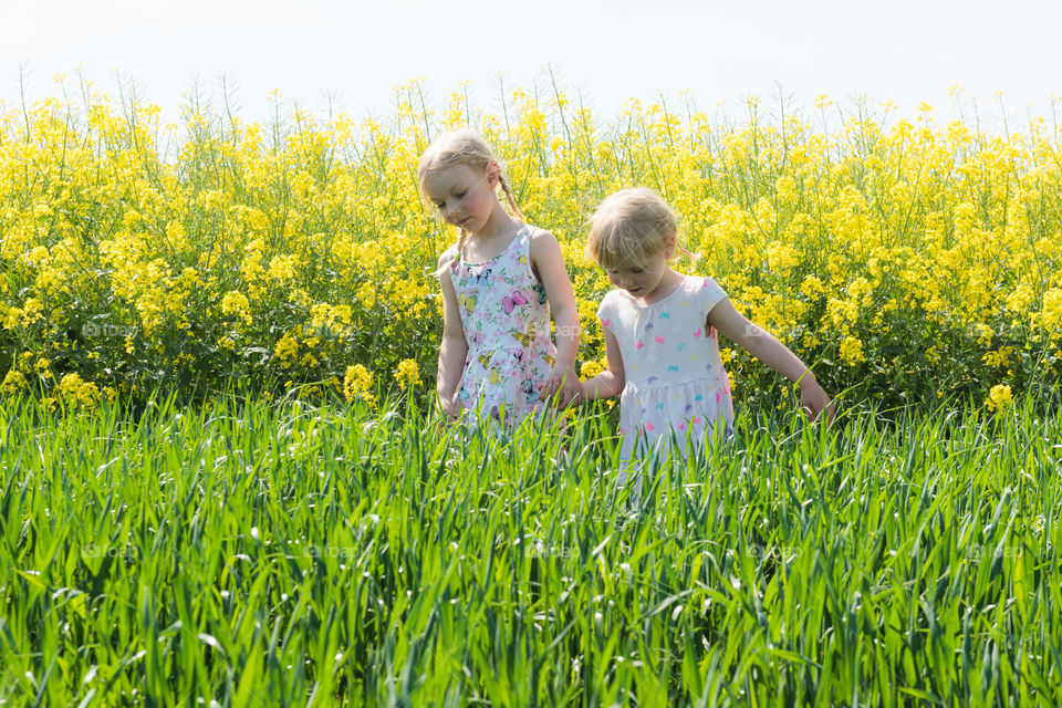 Two young sisters a running in a Raps field outside Malmö Sweden.