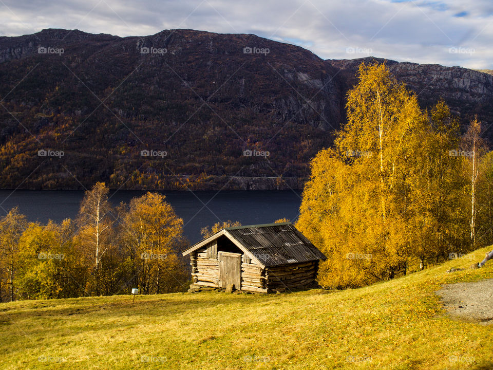 View of abandoned house during autumn