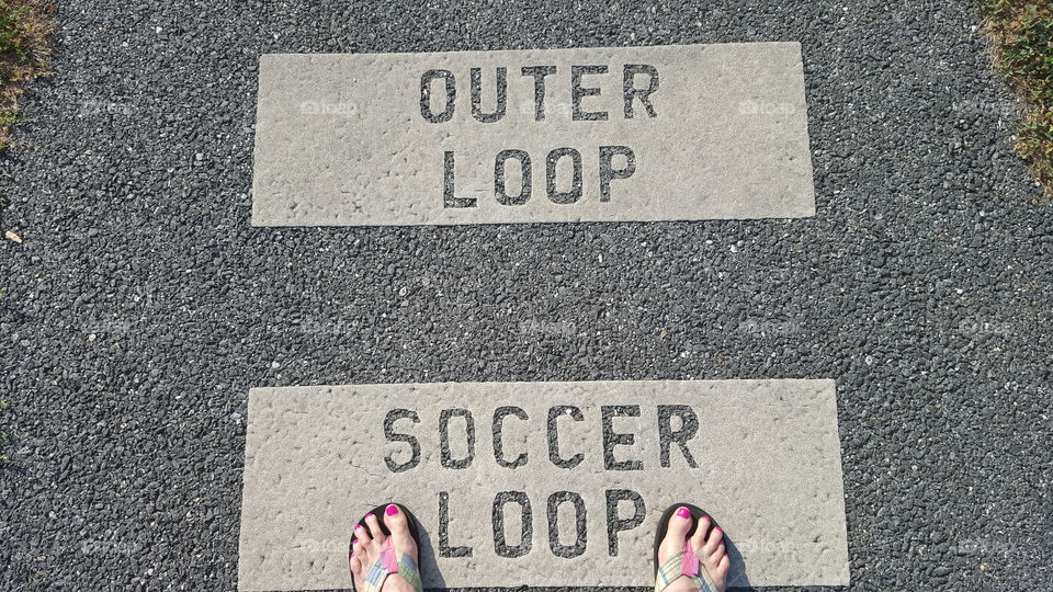 park path. which loop to take?