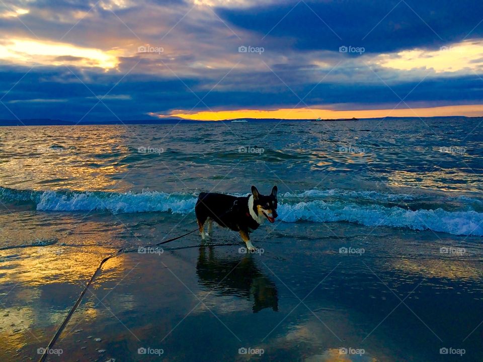 Alki Beach 