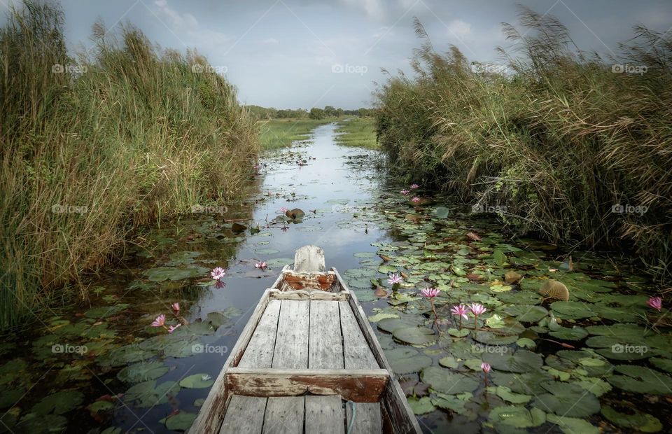 Boat ride in the marshes to meet the lotus flowers for a serene experience.