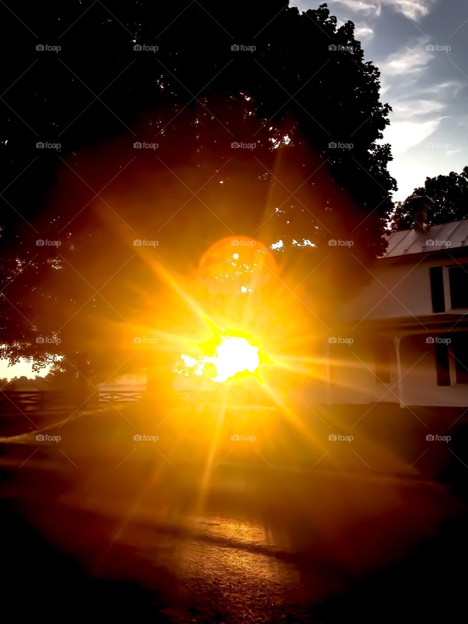 Morning glory! The sun rising over the horizon as it plays peek a boo between the tree and farm house. 