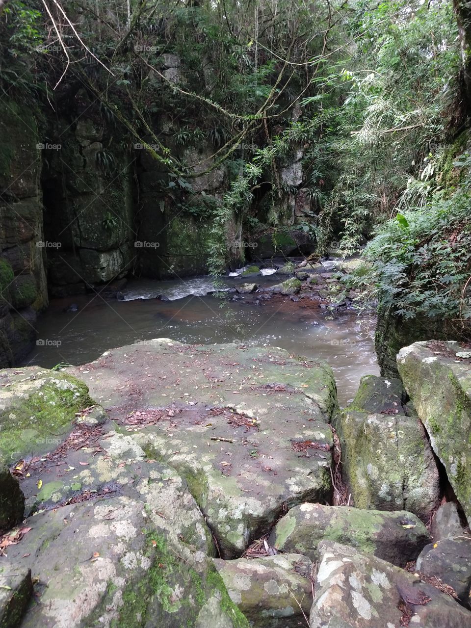 Nature, Landscape, Water, Rock, Moss