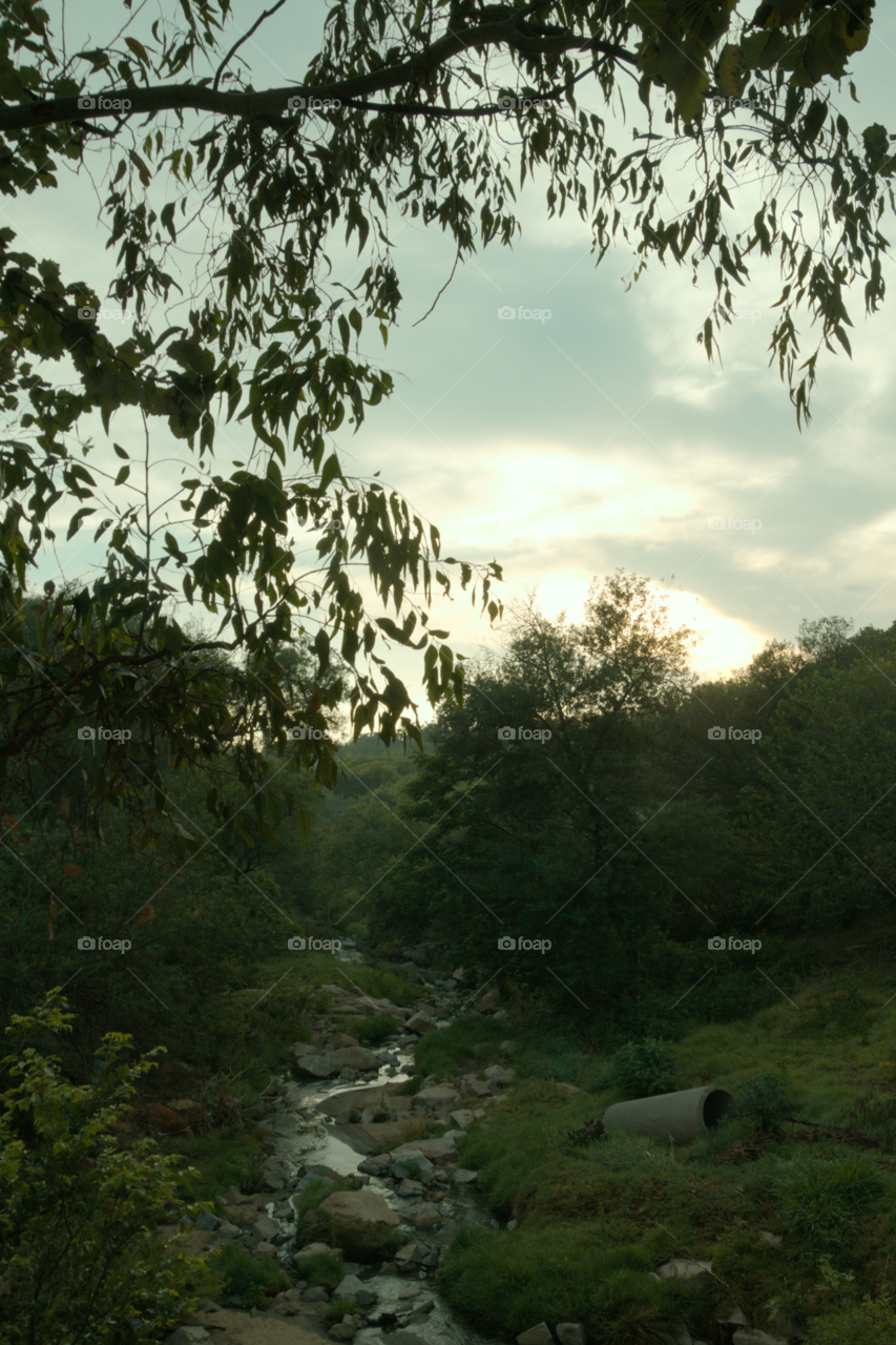 Bridge over Pres Fouche