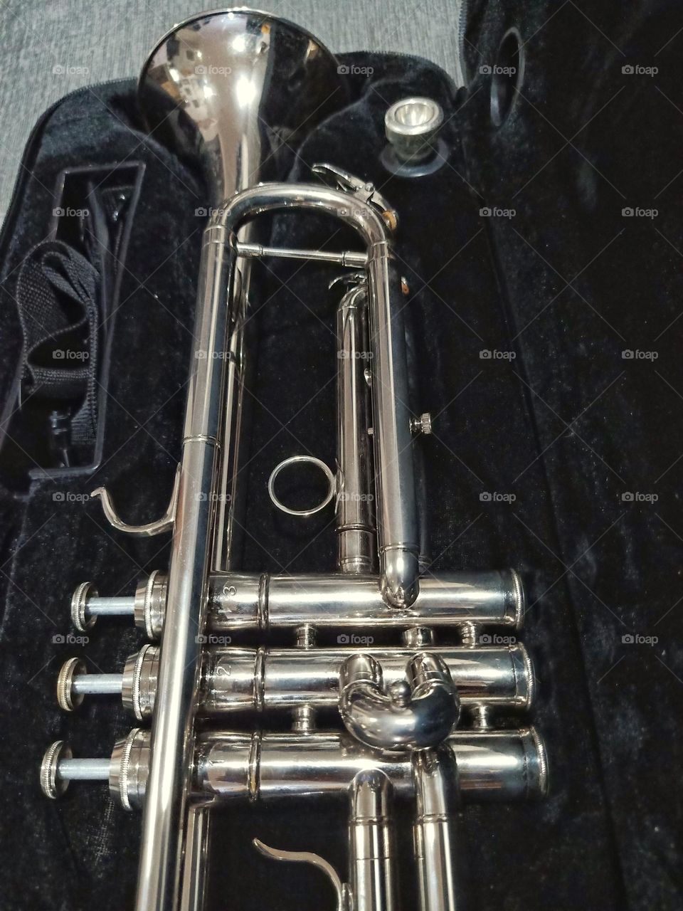 trumpet