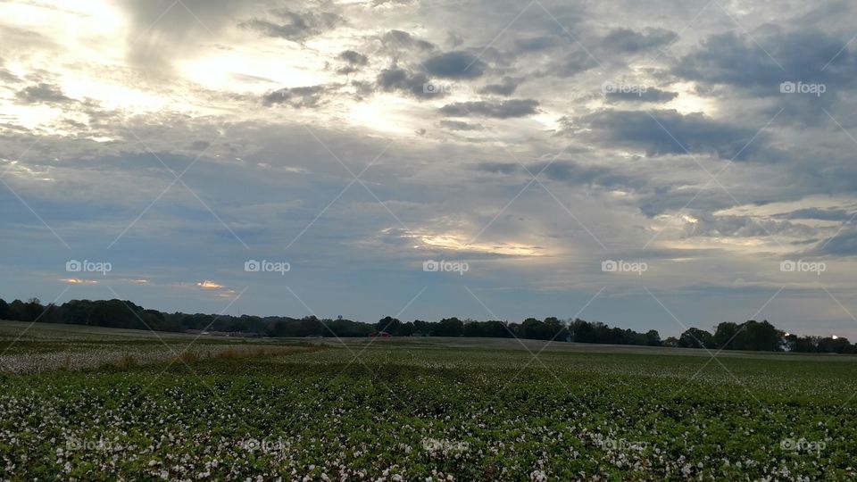cotton clouds sky
