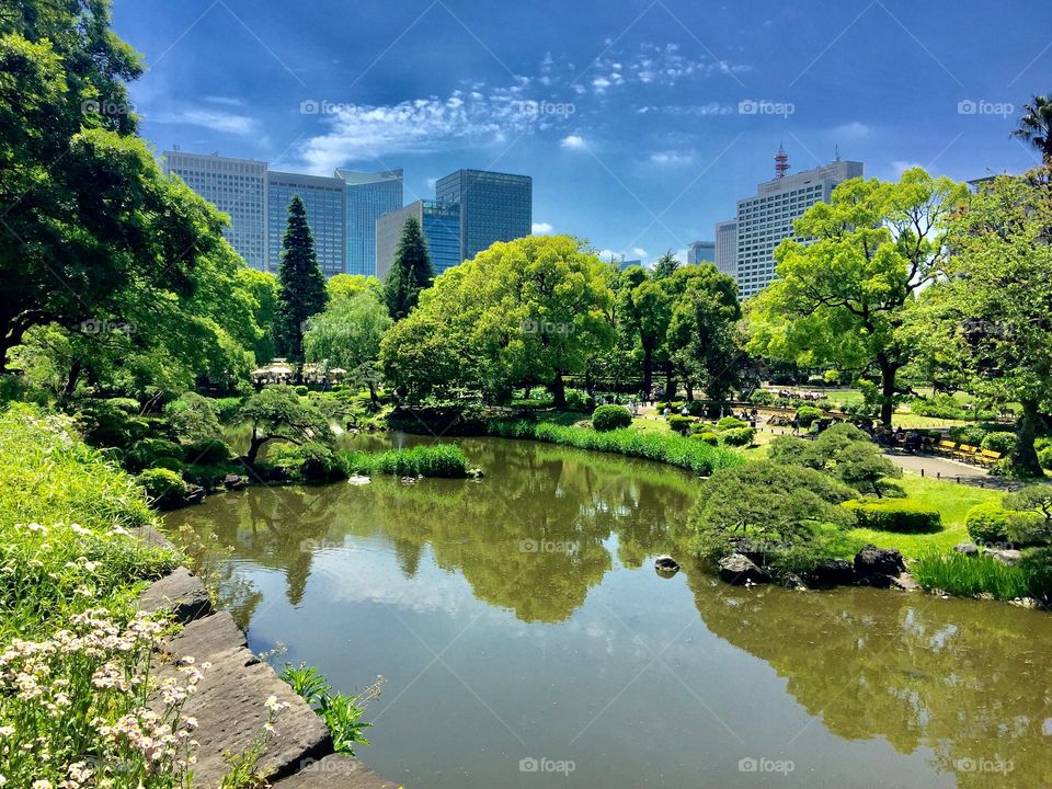 Park surrounded by city in Tokyo 
