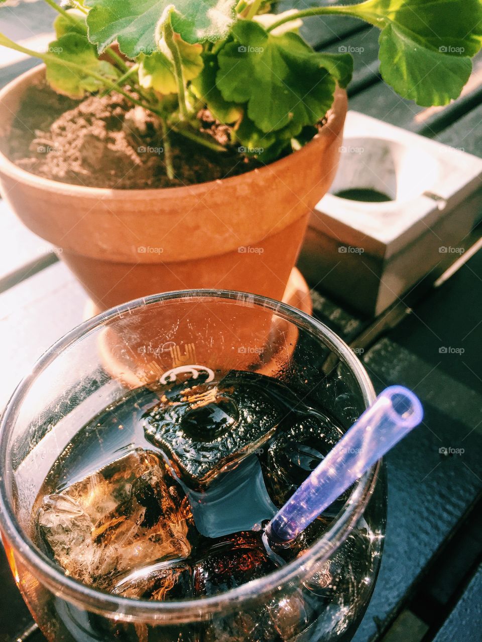 Cold drink with potted plant on table