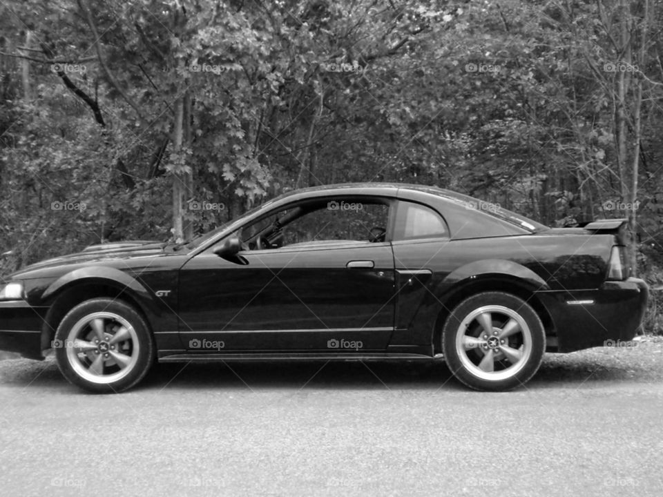 Untitled . Picture of our 2002 Mustang 