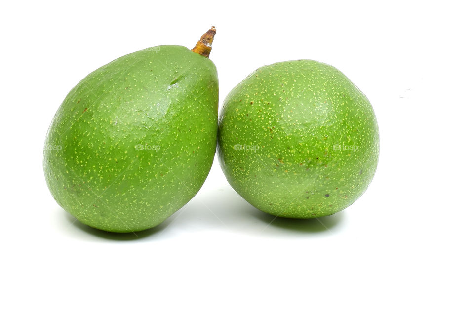 fresh avocado fruit